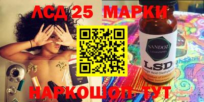 шишки Вязьма