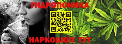 шишки Вязьма