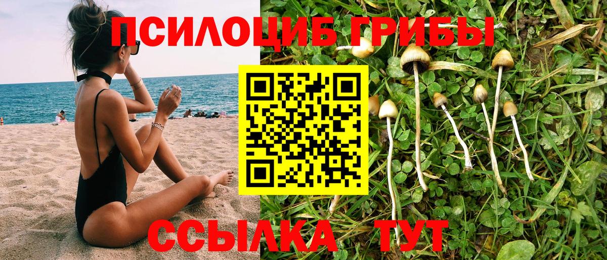 Псилоцибиновые грибы мицелий Ишим