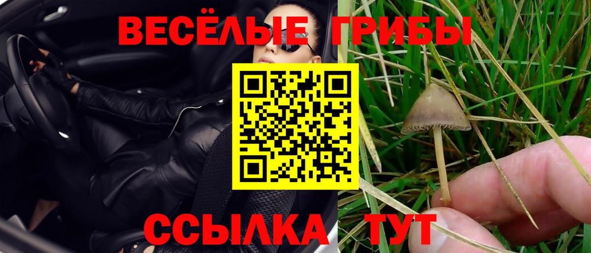Галлюциногенные грибы Magic Shrooms  Галлюциногенные грибы Psilocybine cubensis  Вход с VPN  Ишим 